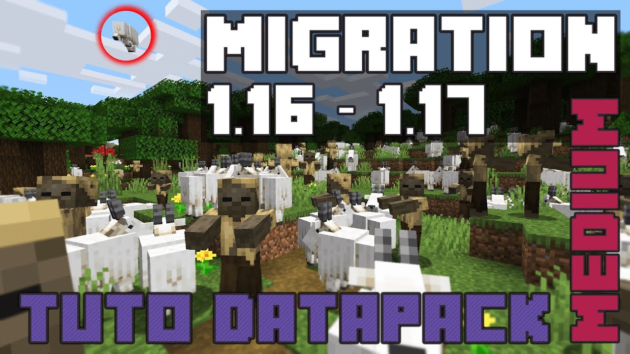 couverture de migration 1.16 1.17